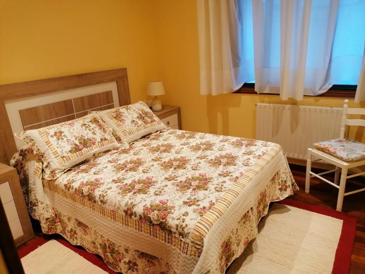 Piso As Camelias Apartman Pontevedra Kültér fotó